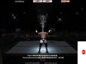 WWE2K15人物解锁秘籍 挑战策略并进的摔跤游戏之旅