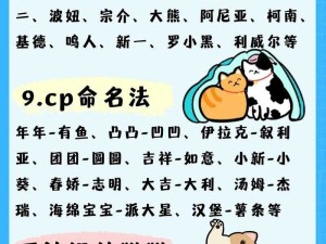 猫咪 www 最新地域网名怎么取的独特取名思路探讨