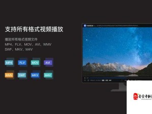 中国高清 Windows 视频软件 ：功能强大的视频播放利器