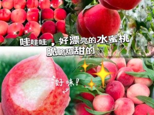 一首关于多汁水蜜桃的甜蜜歌曲：像是多汁的水蜜桃谁都想咬怎么唱