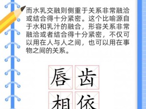 水乳交融和唇齿相依的区别：深度剖析二者内涵及应用场景
