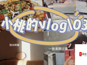 TXVLOG 破解版真的好用吗？它的功能和特点究竟有哪些？快来一探究竟