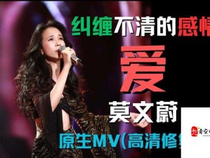 欧美 mv 日韩 mv 国产网：涵盖丰富多样音乐视频的精彩平台