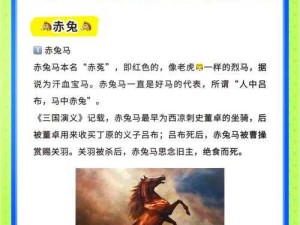 真三国无双8帝国：有哪些强力伙伴好马？名马获取方法全解析