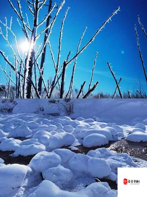 伤害世界雪地探险，全面解锁雪地进入方法