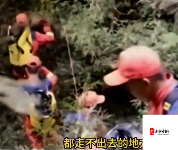 暗网吃瓜：探秘那些不为人知的神秘事件与背后真相