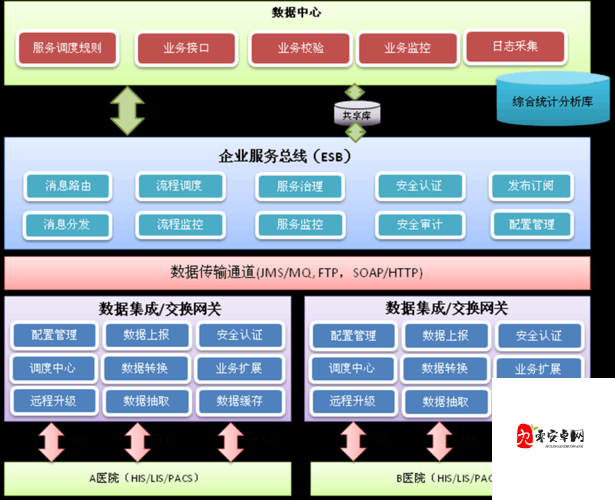 医院的特殊待遇 8 之深入探究与全面解读