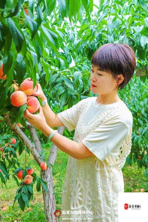 水蜜桃亚洲一二三四在线：畅享甜蜜精彩之旅