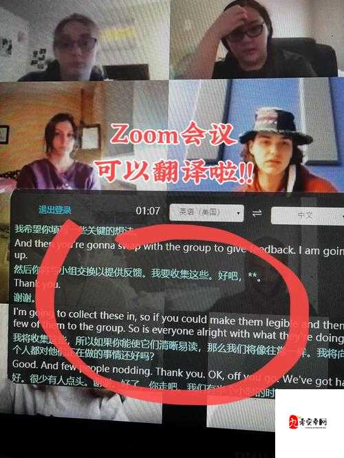 美国 Zoom 与动物 Zoom：线上动物世界的奇妙之旅