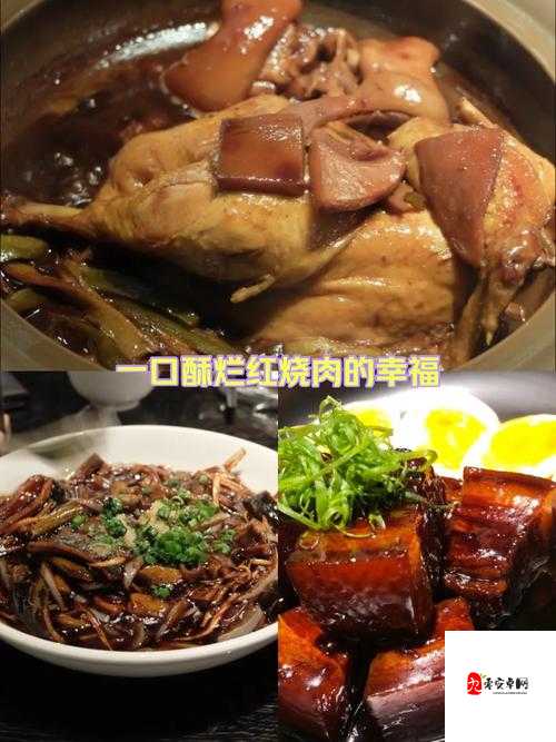 太子宠妾高肉红烧肉包：香气四溢令人垂涎的美味佳肴