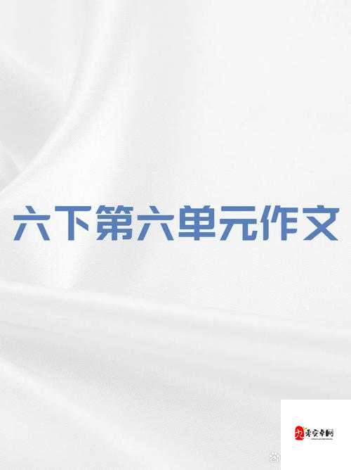 小积积对小积积 30 分钟啊：一段令人好奇的独特时光