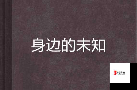 公交车上配合陌生人弄：一次充满未知的奇妙经历