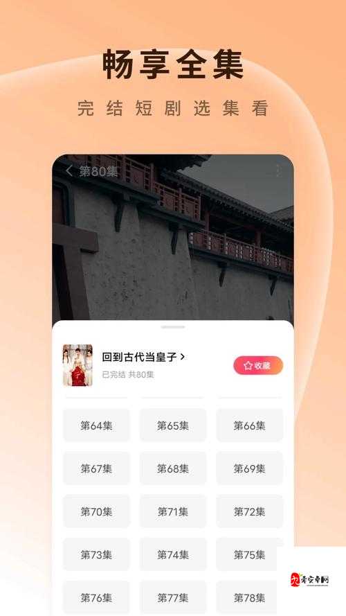 成品短视频 app 下载网站：畅享海量精彩视频资源