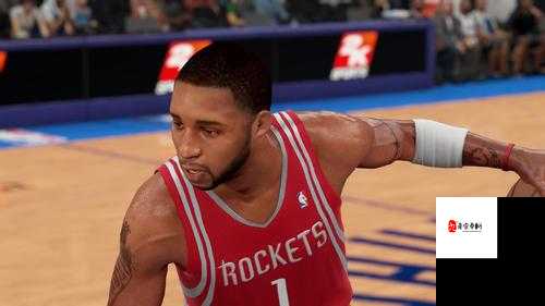 NBA2K16Codex破解版怎么设置中文，资源管理、高效使用与避免浪费