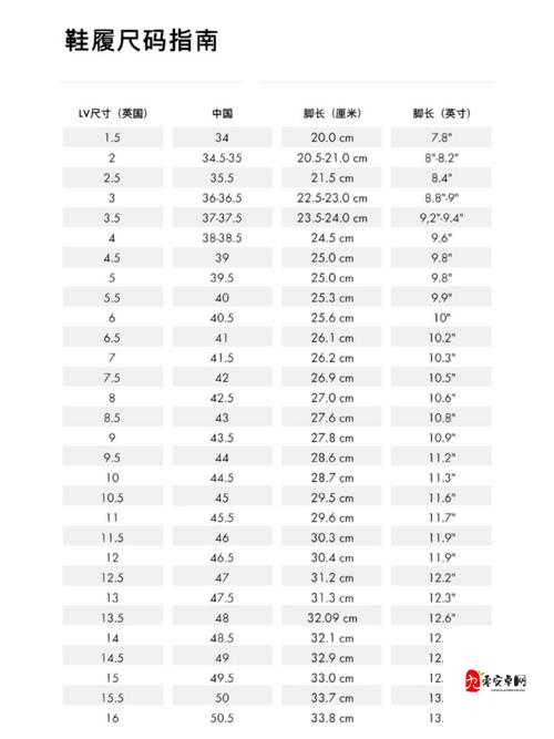 欧洲尺码日本尺码专线发布：助力时尚产业新发展