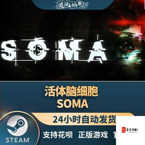 活体脑细胞Soma，沉船关卡攻略与资源管理艺术