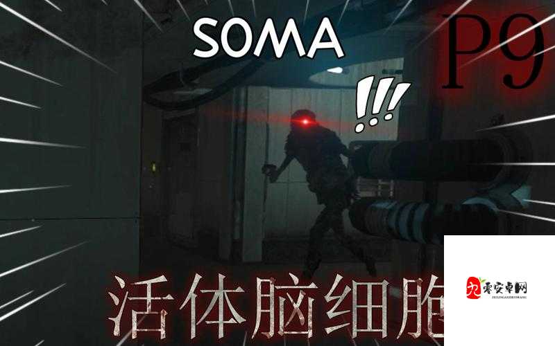 活体脑细胞（SOMA）第一关门密码的重要性与管理技巧