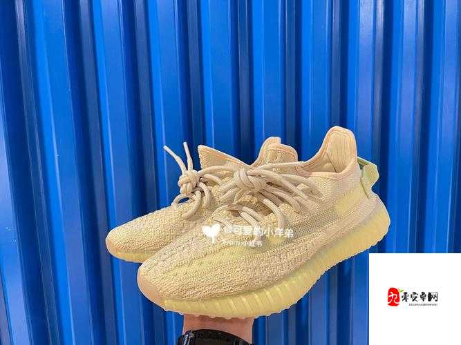 YEEZY 亚洲限定 美洲限定：时尚潮鞋的独特魅力与风格展现