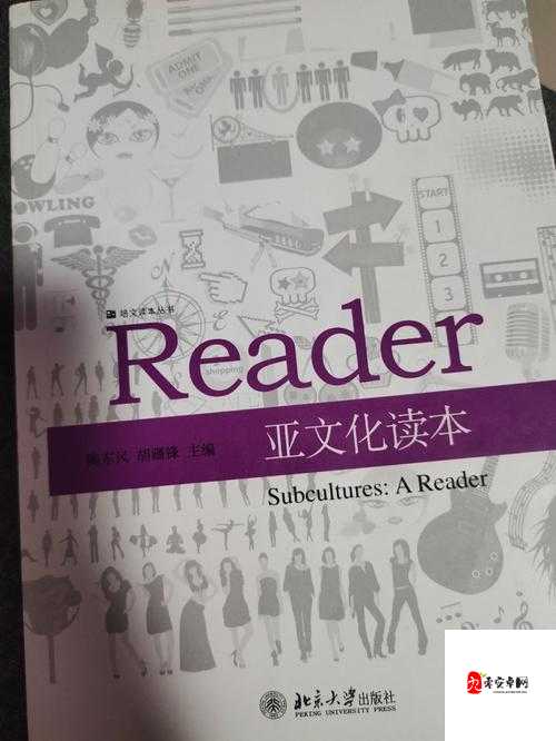 糙汉 1-NH 现象：从亚文化到社会议题的探讨