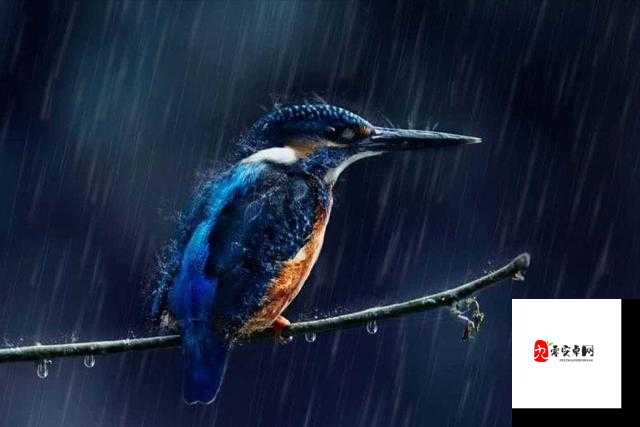 外回り中突遇大雨于一处避雨的奇妙经历