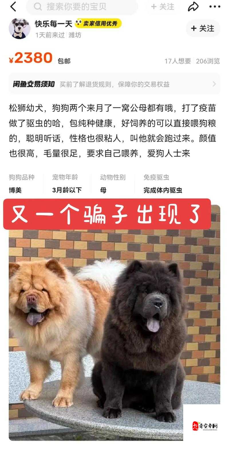 人 or 猪 or 狗已彻底下架-老用户：这意味着什么呢以及带来的影响