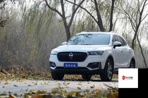 本色 bx57t 有什么特色：其独特之处详细解析