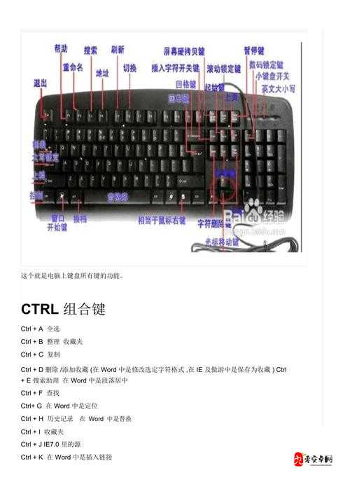 半人马之星操作方法与键盘按键说明的深度解析