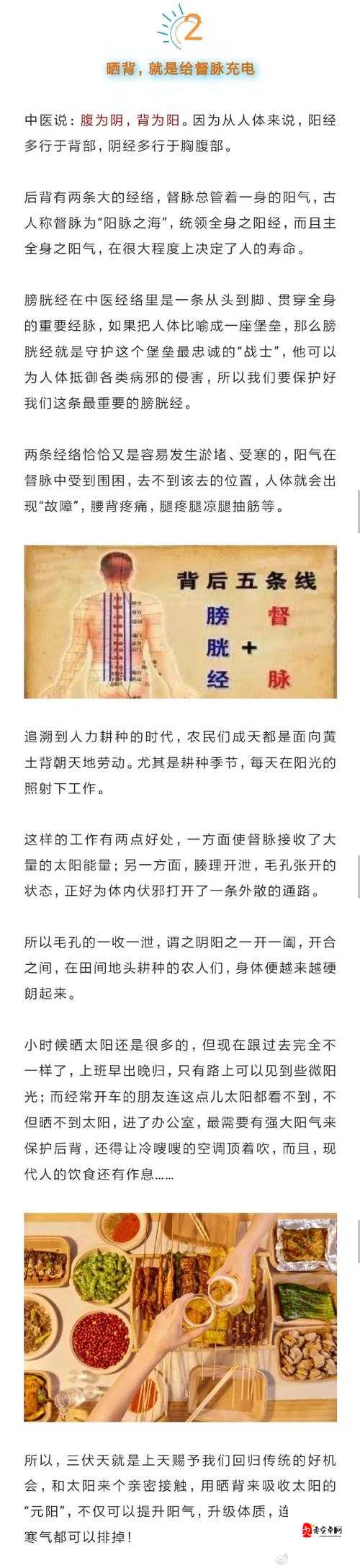 109 神木经脉点哪三个：深度解析与最佳选择指南