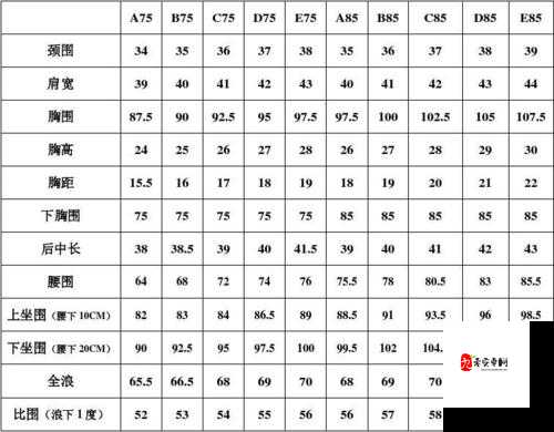 亚洲码欧洲码一码二码三码的区别与特点以及适用范围探讨