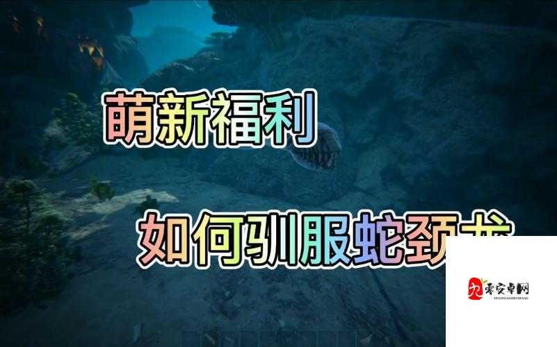 方舟生存进化蛇颈龙快速驯服教程，资源管理的高效指南