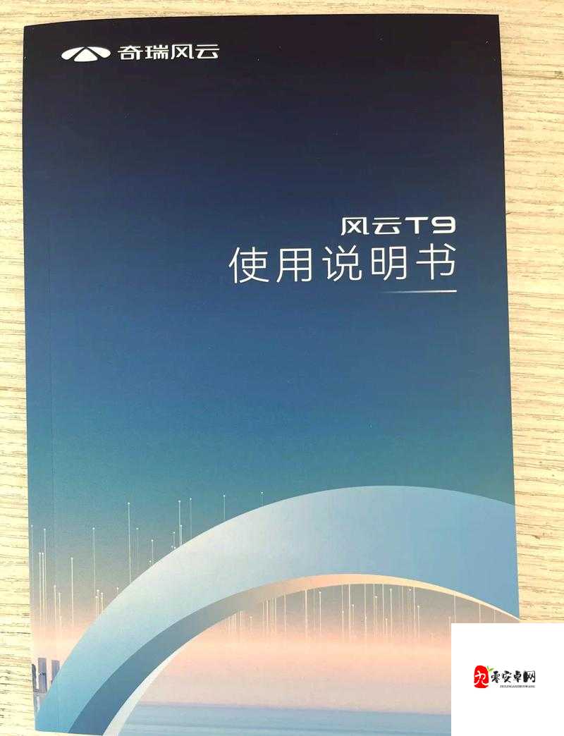 YS 千人千色 T9T9T9T9：探索独特魅力与无限可能