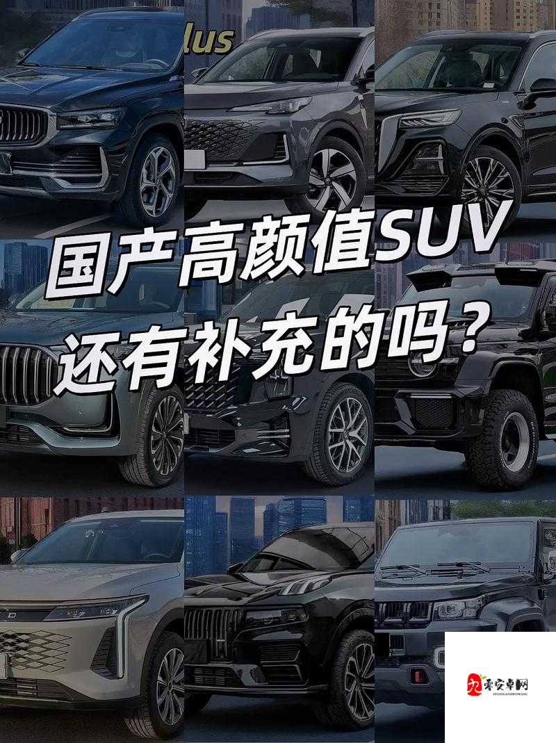 国产又美又漂亮的 SUV ：引领时尚出行新潮流的绝佳选择