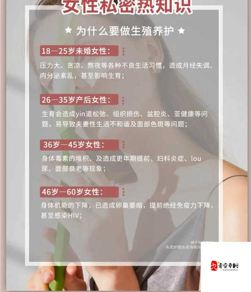 关于性的网站：探索性知识与健康交流平台