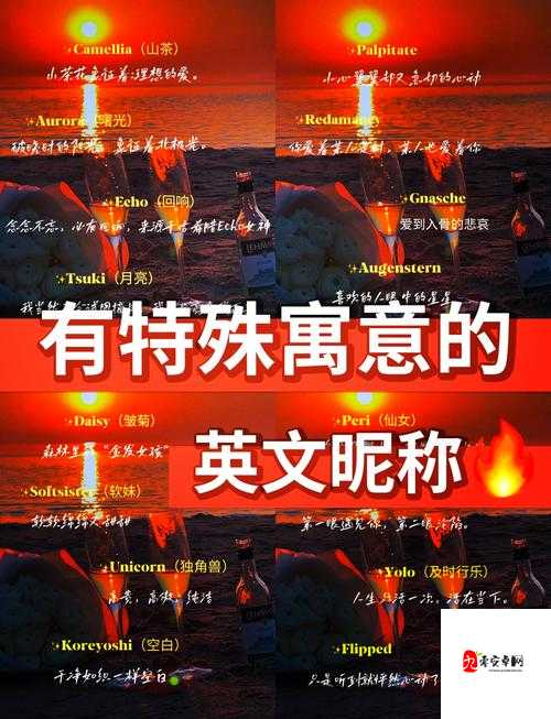 猫咪 MV 最新地域网名怎么取：探索创意与独特性的秘诀