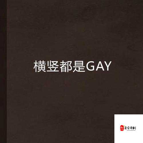 Gay 空少 2023XXXXHD 引发的别样精彩故事