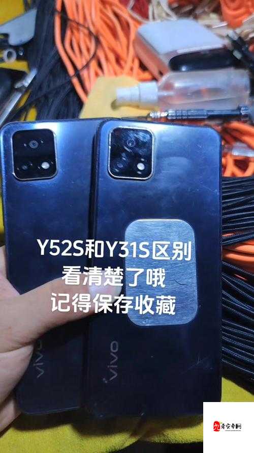 y31s 和 y31s 标准区别更新：海外直播间直呼内容有哪些变化？