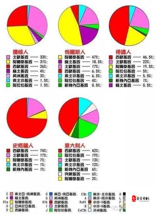 日本人与欧洲人 DNA 相似度：探究两者遗传关联的深度分析