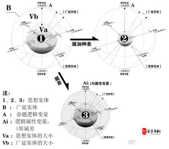 xxxBBBB 之深入探究其内涵与外延以及相关重要意义