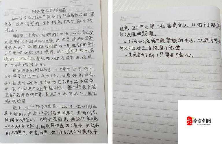 秘密花园后妈小城小说第十章：后续故事的发展与人物命运的走向