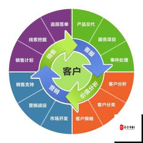 成品网站 crm 短视频：关于其功能与应用的详细介绍