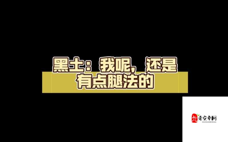 黑土ちゃんが腿法技巧：探索其独特魅力与实战应用