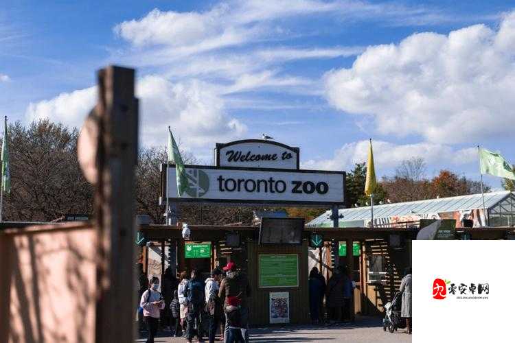 欧美人与动物 zoozoo 激情大战，如此震撼场面你绝对没看过