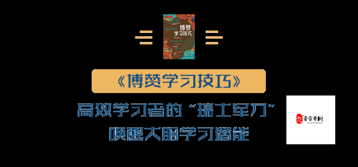 脑力达人高分秘籍，解锁100%满分的独门绝技