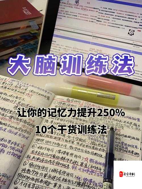 脑力达人修炼手册，解锁智商提升新境界