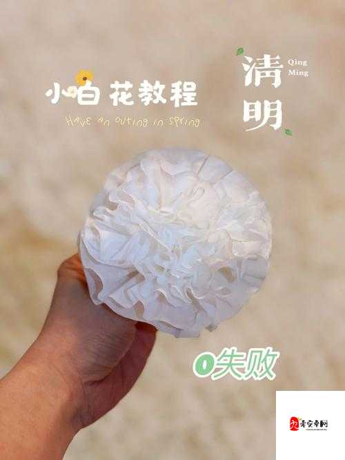 小白花被浇灌日常轻梦：关于一朵小白花的成长故事