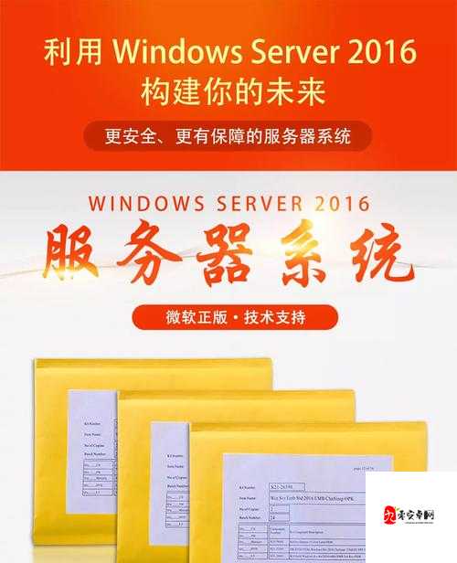 日本 windowsserver 免费版，安全可靠的服务器操作系统