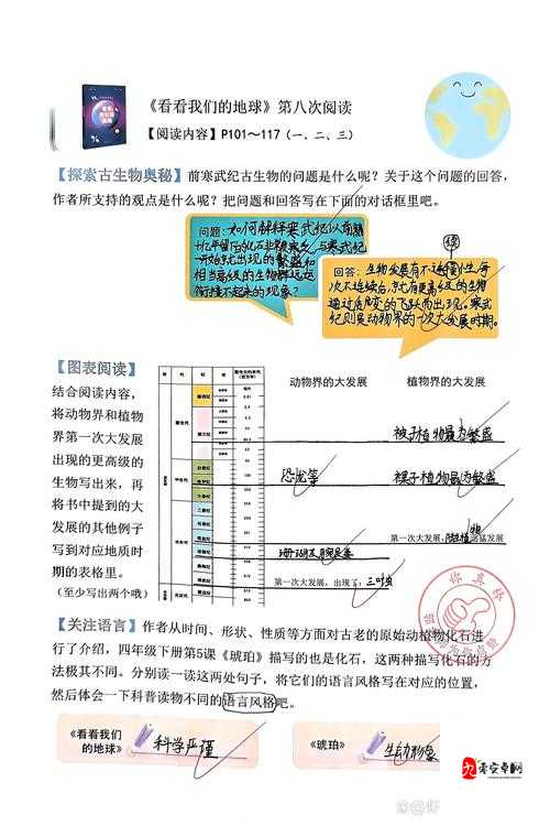 看镜子里我们结合之地科学的奥秘探讨