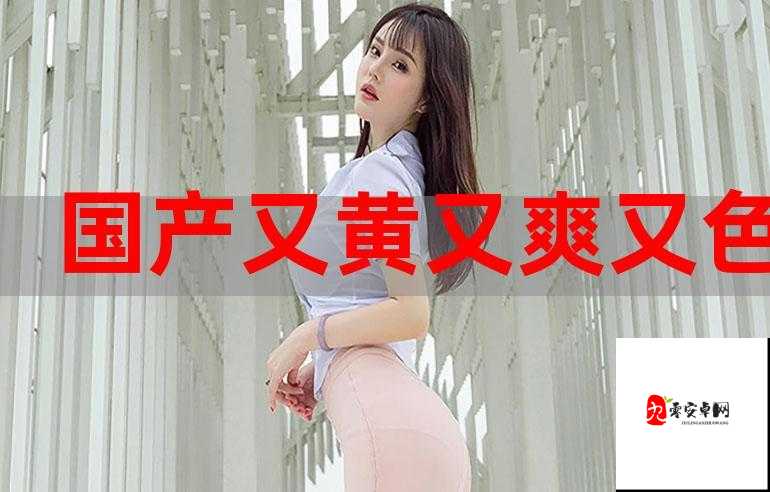 国产 HDXXX 天美传媒女职员的职场风云故事