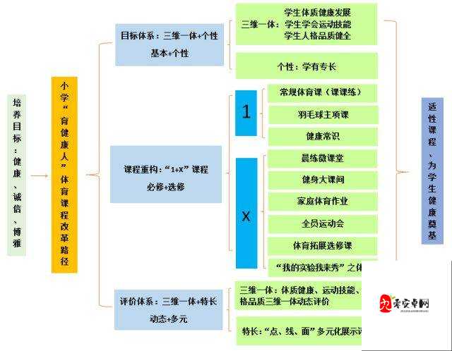 国产 X 成年妇女相关视频引发的思考与探讨