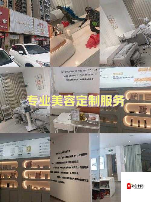 仙林踪cosmetology大陆官网：带你领略专业美容世界